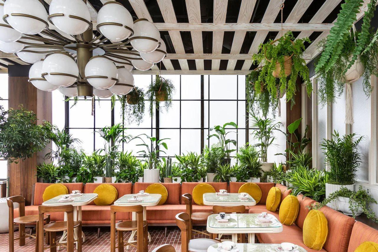 Otel C. Baldwin, Curio Collection By Hilton